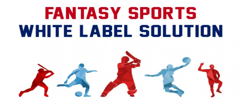 Fansportiz - White Label Fantasy Sports App