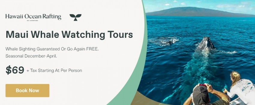 Hawaii Ocean Rafting
