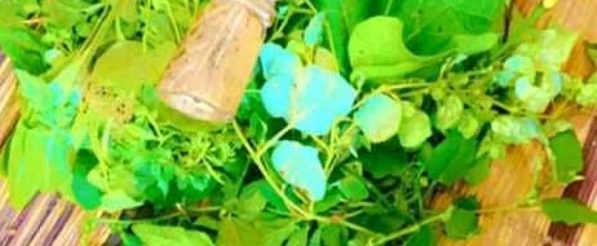 The best powerful spiritual herbalist native doctor in Nigeria+2349169497945