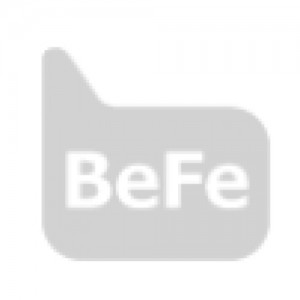 BeFe Inc.