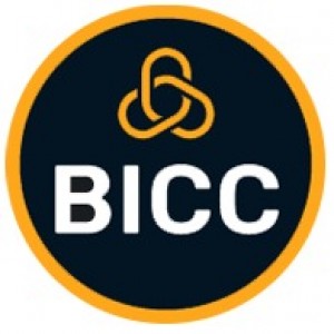 Belarus IT Companies Club