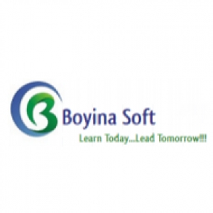  Boyina Soft