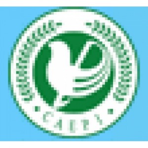CAEPI (China Association of Environmental Protection Industry)