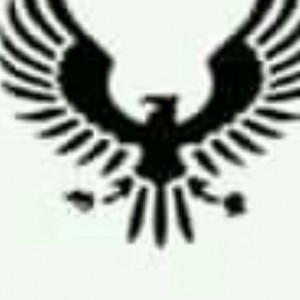 Eagle first gems 