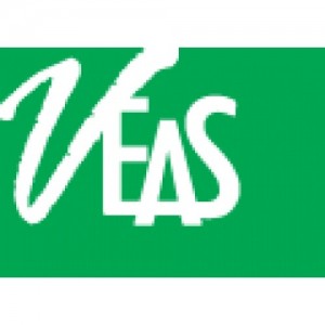 Minh Vi Exhibition and Advertisement Services Co., Ltd (VEAS Co., Ltd)