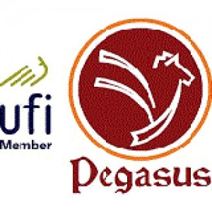 Pegasus Consultancy (Pvt.) Ltd.