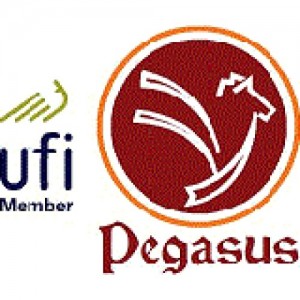 Pegasus Consultancy (Pvt.) Ltd.