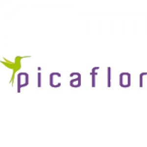 Picaflor International