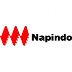 PT. Napindo Media Ashatama