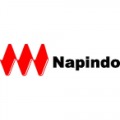 PT. Napindo Media Ashatama