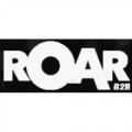 ROAR B2B