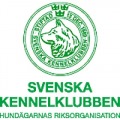 Svenska Kennelklubben