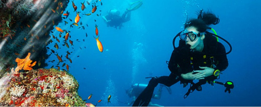 ARWSE - ASIA RECREATIONAL WATER SPORTS EXPO
