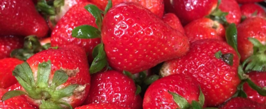 Community School Strawberry Festival