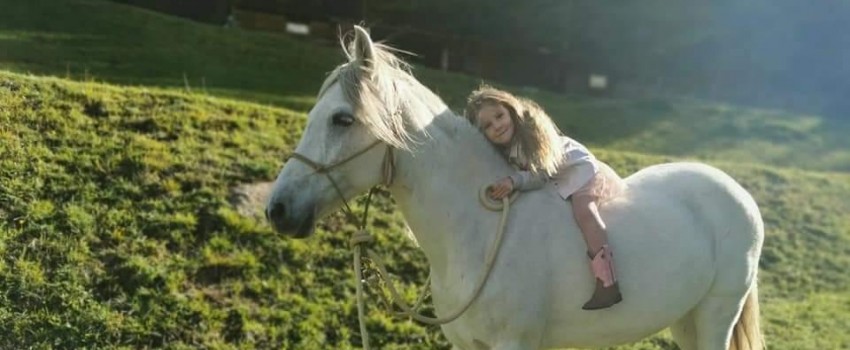 FIERACAVALLI