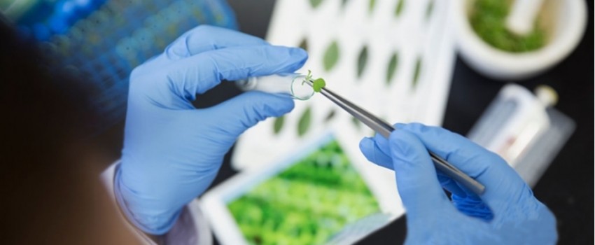 International Conference on Genomics of Plant Genetic Resources