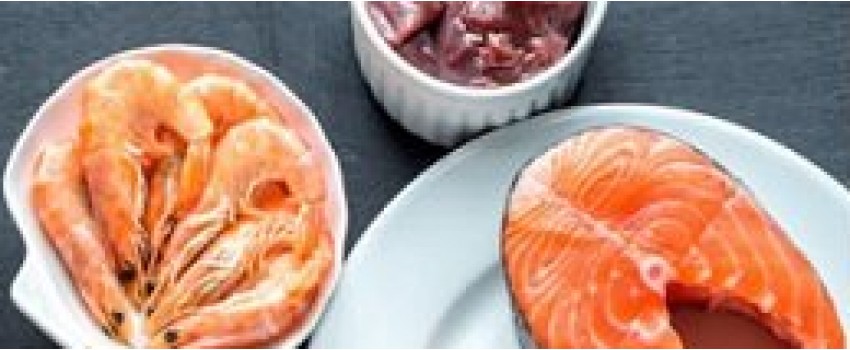 MeatEx Canada