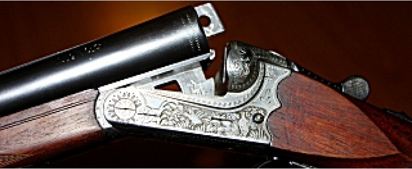 OSHKOSH GUN SHOW
