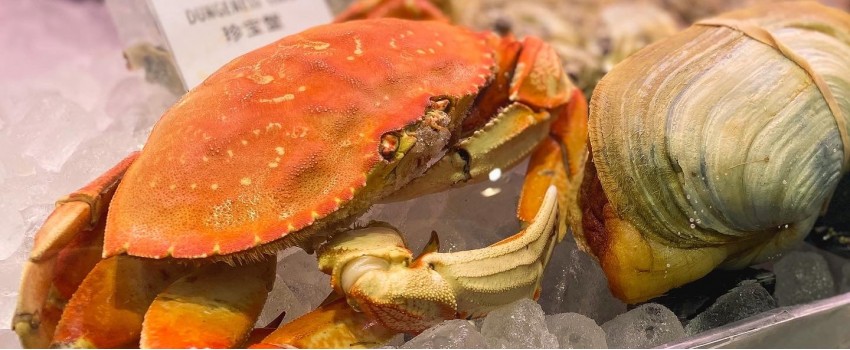 SEAFOOD EXPO NORTH AMERICA/SEAFOOD PROCESSING NORTH AMERICA