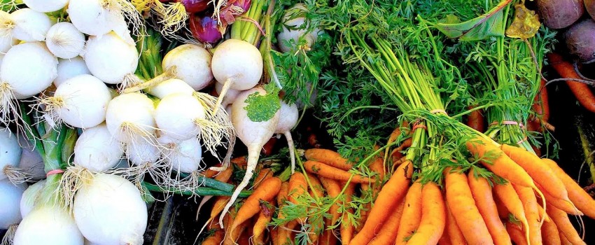Dubbo Farmers Market