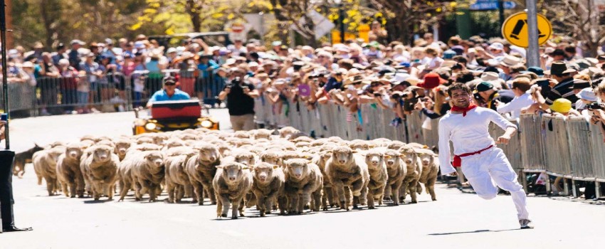 Irish Wool Fest