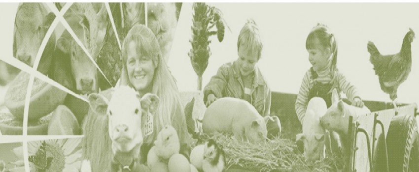 Rural Lifestyle Expo