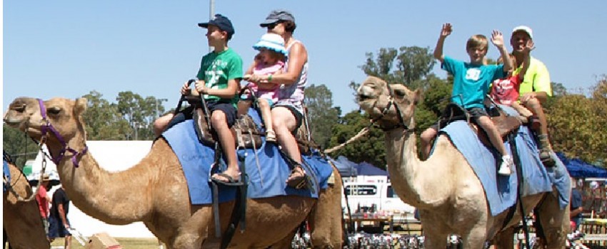 Seymour Alternative Farming Expo