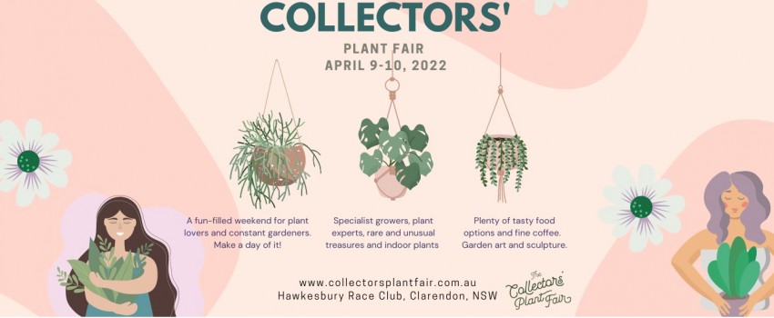 Collectors Plant Fair
