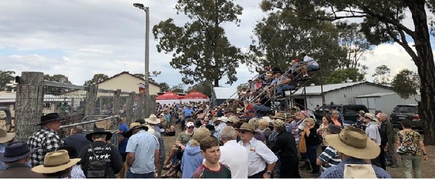 Australian Camp Oven Festival