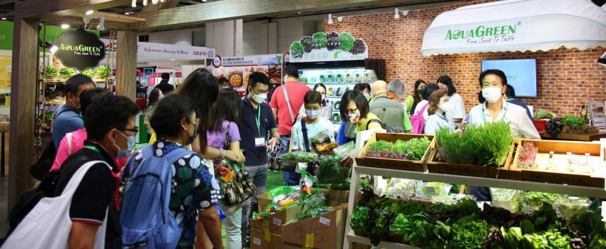 LOHAS EXPO
