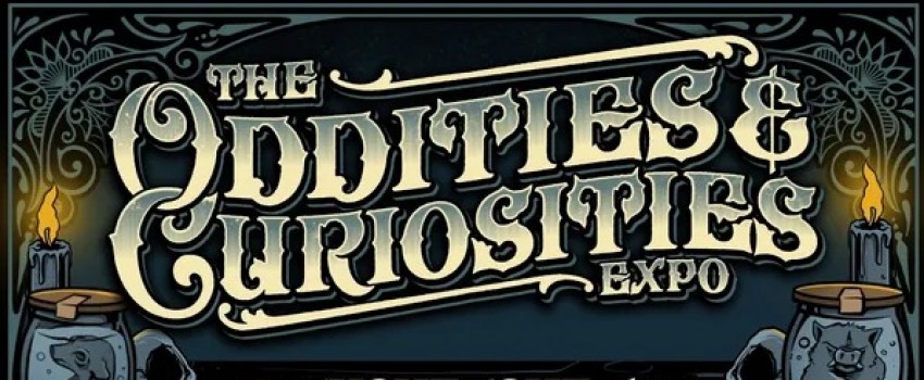 The Oddities  Curiosities 