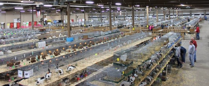 OSRBA Mini Convention Show