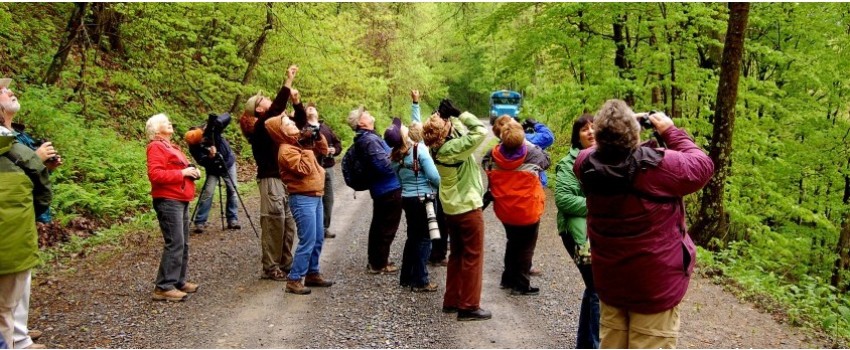 New River Birding And Nature Festival