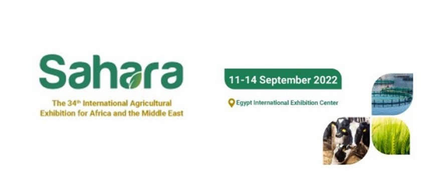 Sahara Expo