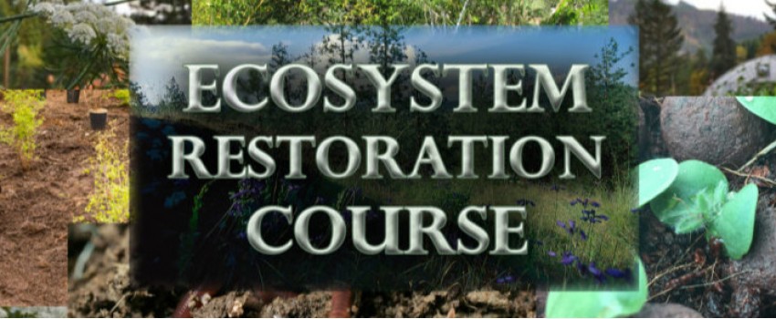 Ecosystem Restoration Course