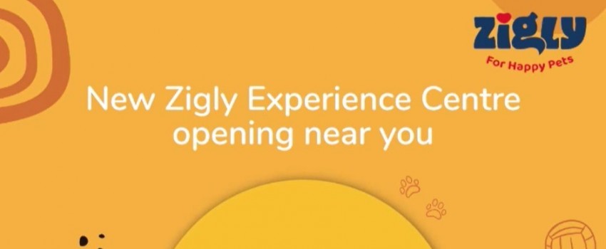 Zigly Experience Center