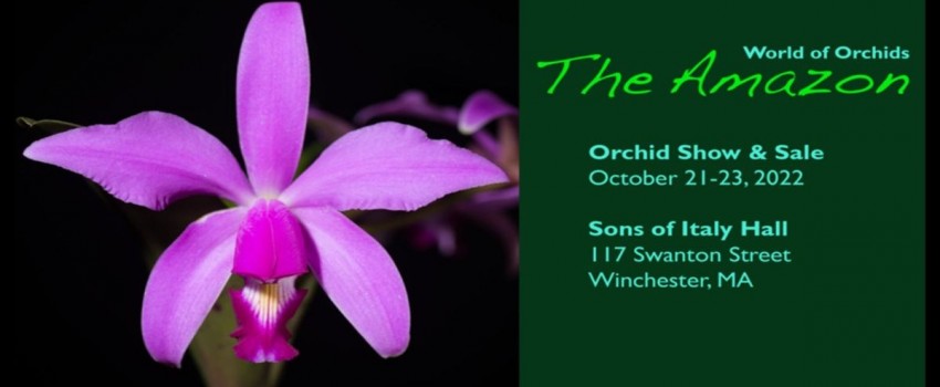 Massachusetts Orchid Society Annual Sale And Show