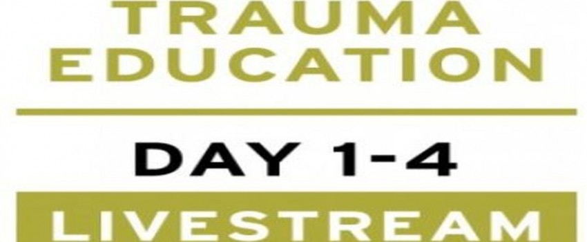 Treating PTSD + Complex Trauma with Dr Leah Giarratano 21-22 and 28-29 September 2023 Livestream - Berlin