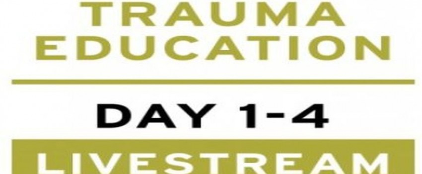 Treating PTSD + Complex Trauma with Dr Leah Giarratano 21-22 and 28-29 September 2023 Livestream - Bergen