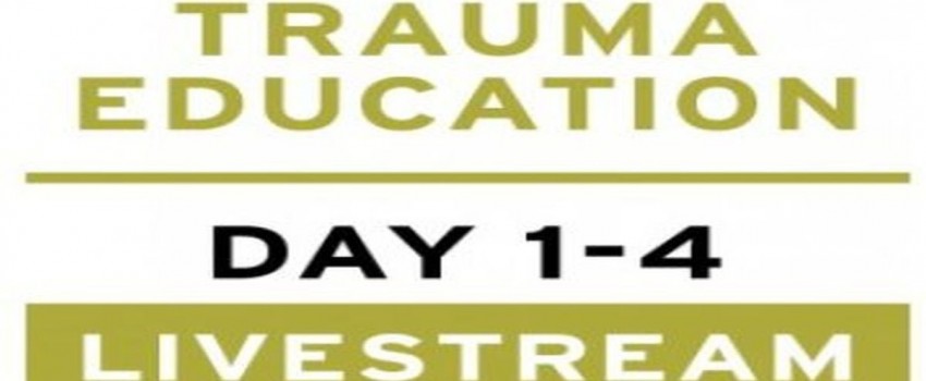 Treating PTSD + Complex Trauma with Dr Leah Giarratano 21-22 and 28-29 September 2023 Livestream - Antwerp