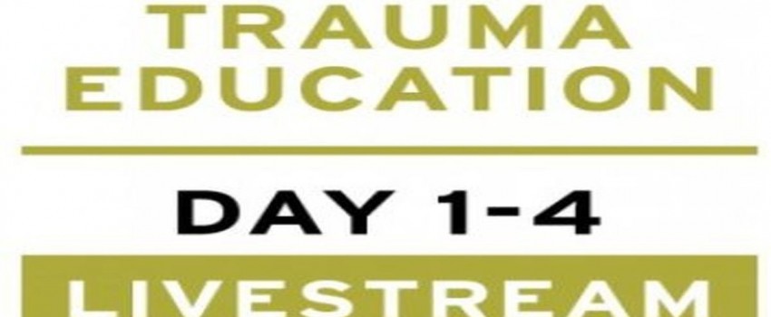 Treating PTSD + Complex Trauma with Dr Leah Giarratano 21-22 and 28-29 September 2023 Livestream - Antrim