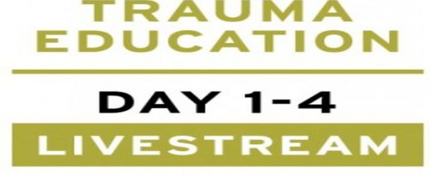 Treating PTSD + Complex Trauma with Dr Leah Giarratano 21-22 and 28-29 September 2023 Livestream - The Hague