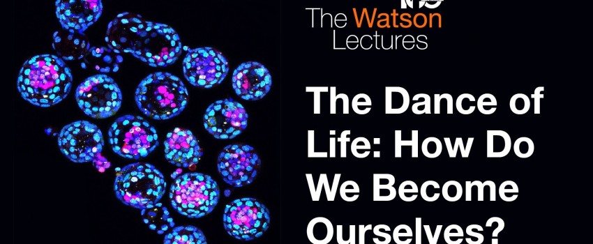The Dance of Life: How Do We Become Ourselves?