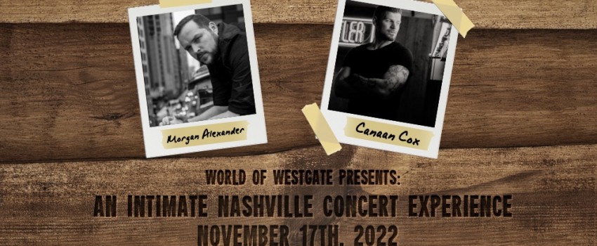 Nashville Singer Songwriter Concert Series