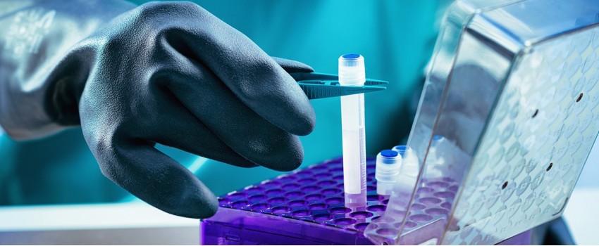 Cell Bank Establishment & Testing - US edition MasterClass