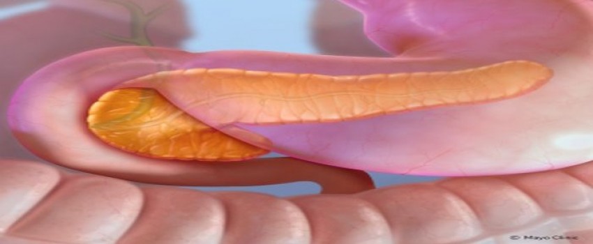 Innovations in Management of Pancreatic Conditions and Therapies: The Mayo Clinic IMPACT Course 2023