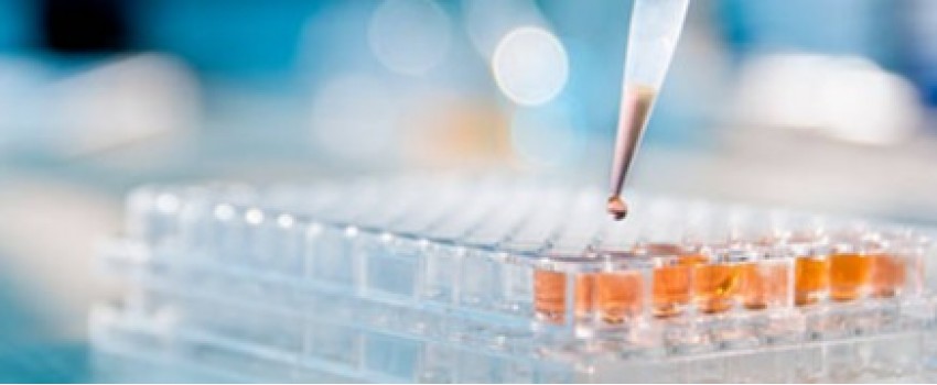Bioprocess International Conference