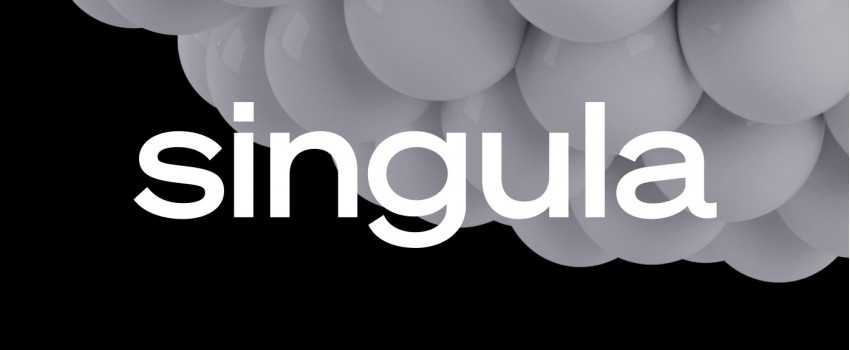 Business & Management Singula Meetup