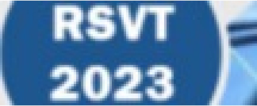 2023 The 4th International Conference on Robotics Systems and Vehicle Technology (RSVT 2023)