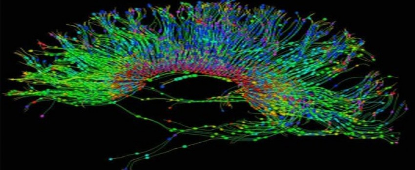 Advances in Neuro Oncology Symposium